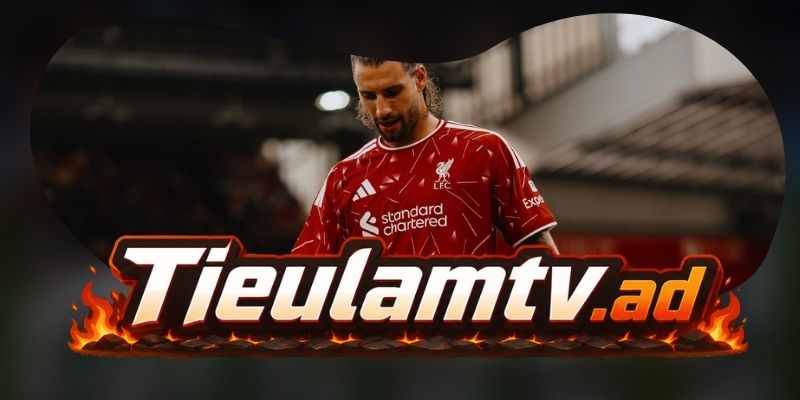 Gợi ý chốt kèo tổng hợp trận Newcastle United vs Liverpool ngày 23/08
